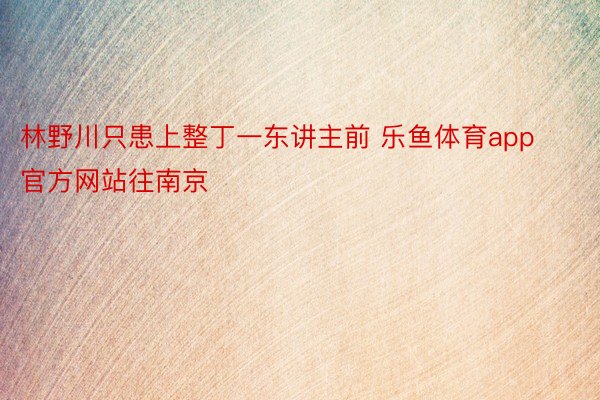 林野川只患上整丁一东讲主前 乐鱼体育app官方网站往南京