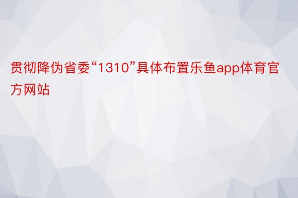 贯彻降伪省委“1310”具体布置乐鱼app体育官方网站